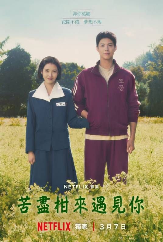 【韩剧】《苦尽柑来遇见你》 16集完结